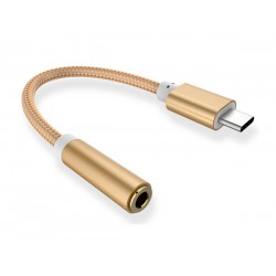 Adattatore audio USB Type-C a connettore Jack da 3,5 mm gold