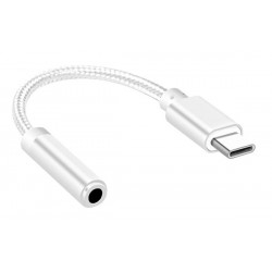 Adattatore audio USB Type-C a connettore Jack da 3,5 mm silver