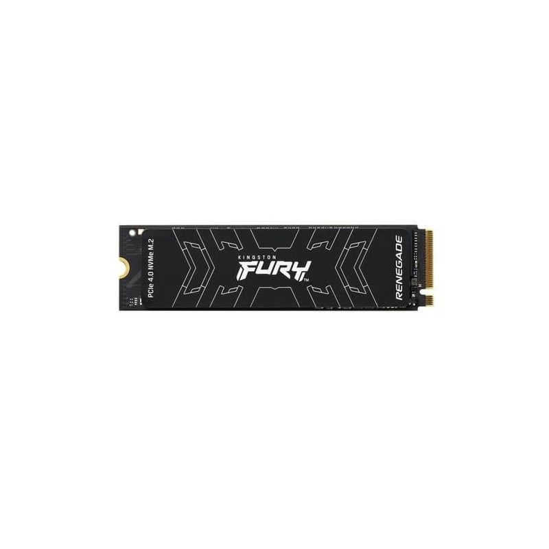 MEMORIA DATI - 1TB Kingstone FURY NVME R7300 W6000